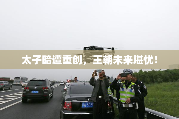 太子暗遭重创，王朝未来堪忧！