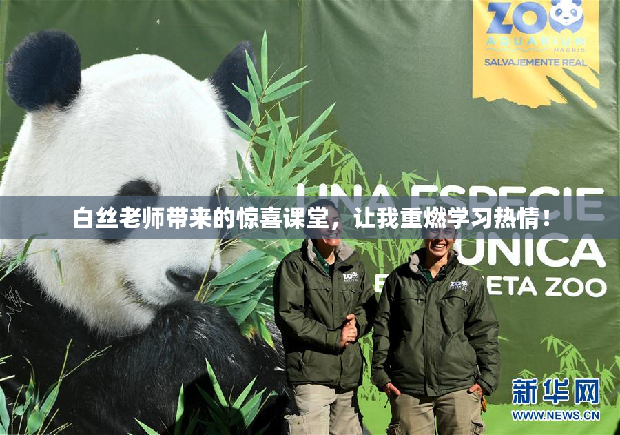 白丝老师带来的惊喜课堂，让我重燃学习热情！