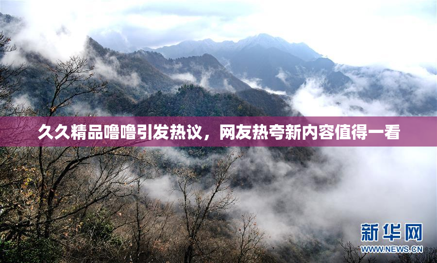 久久精品噜噜引发热议，网友热夸新内容值得一看
