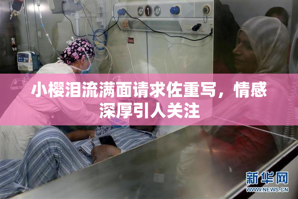 小樱泪流满面请求佐重写，情感深厚引人关注