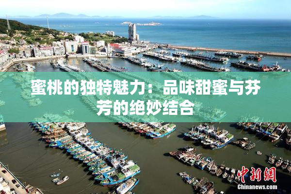 蜜桃的独特魅力：品味甜蜜与芬芳的绝妙结合