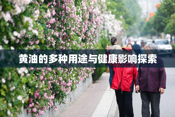 黄油的多种用途与健康影响探索