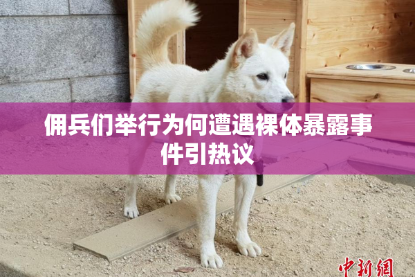 佣兵们举行为何遭遇裸体暴露事件引热议