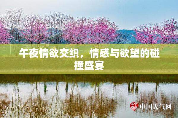 午夜情欲交织，情感与欲望的碰撞盛宴