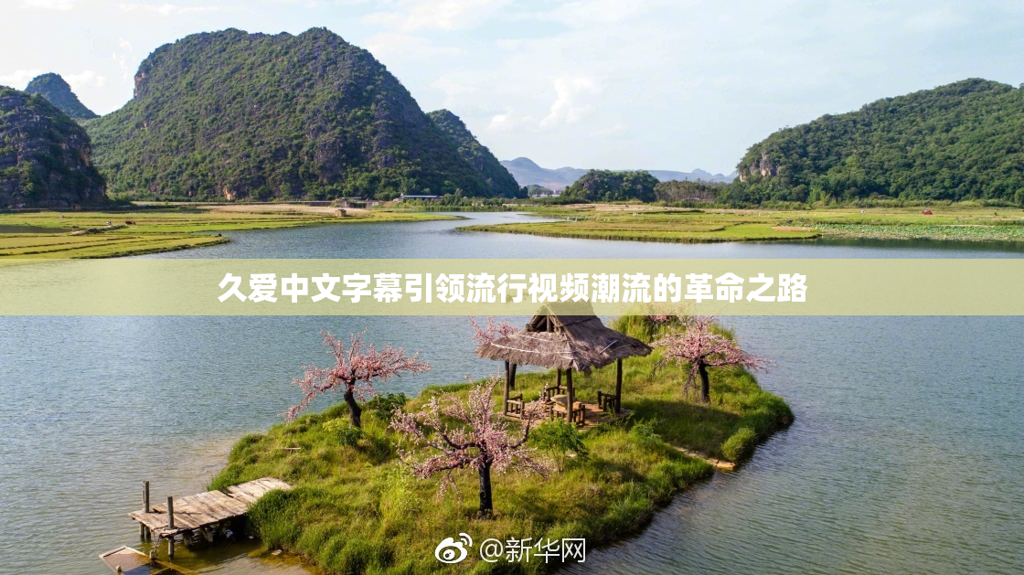 久爱中文字幕引领流行视频潮流的革命之路