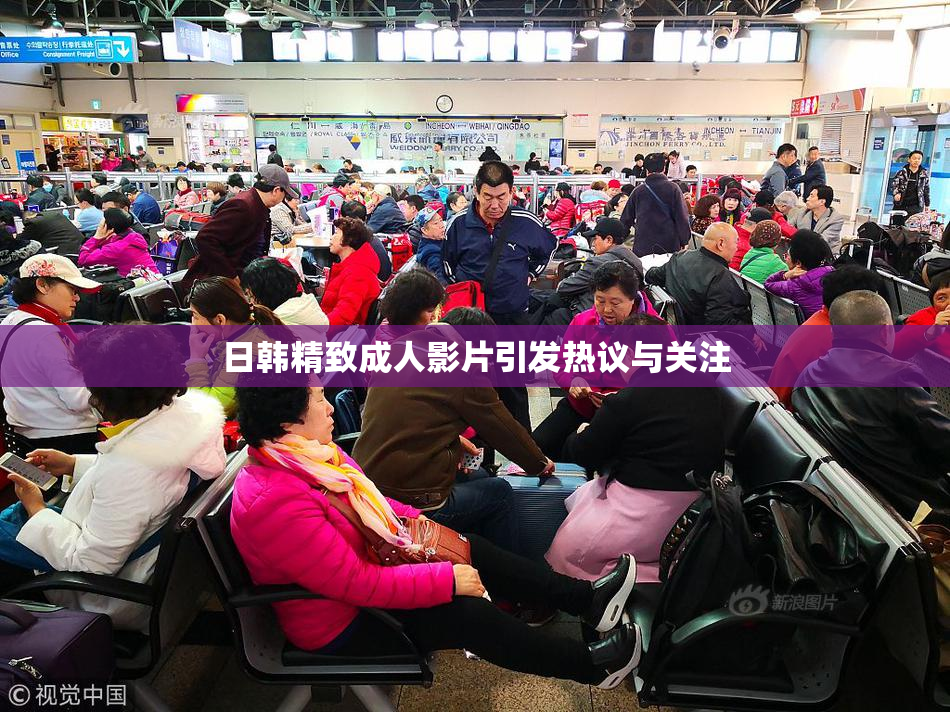 日韩精致成人影片引发热议与关注