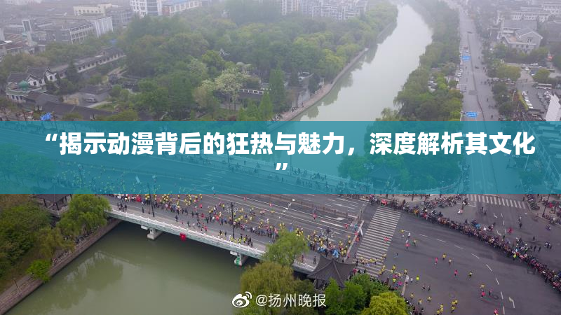 “揭示动漫背后的狂热与魅力，深度解析其文化”