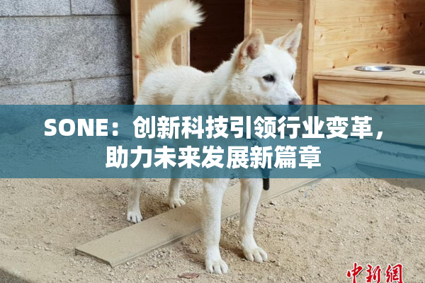 SONE：创新科技引领行业变革，助力未来发展新篇章