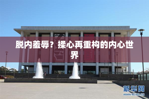 脱内羞辱？揉心再重构的内心世界