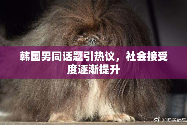 韩国男同话题引热议，社会接受度逐渐提升
