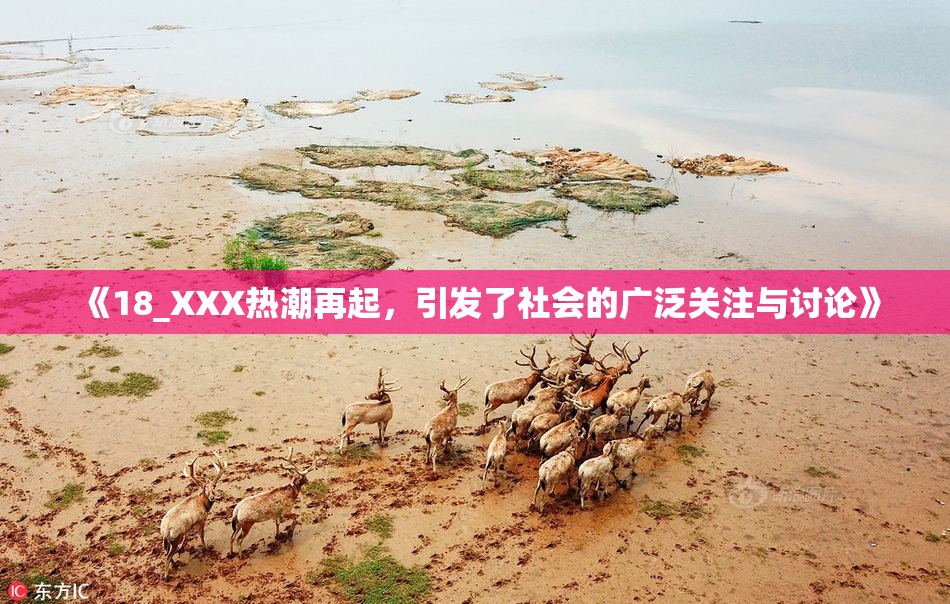 《18_XXX热潮再起，引发了社会的广泛关注与讨论》