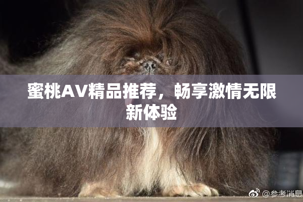 蜜桃AV精品推荐，畅享激情无限新体验