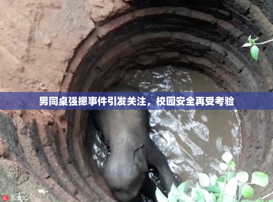 男同桌强摁事件引发关注，校园安全再受考验