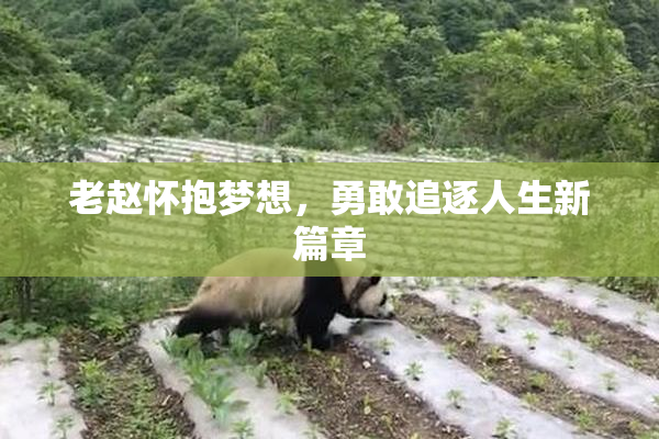 老赵怀抱梦想，勇敢追逐人生新篇章