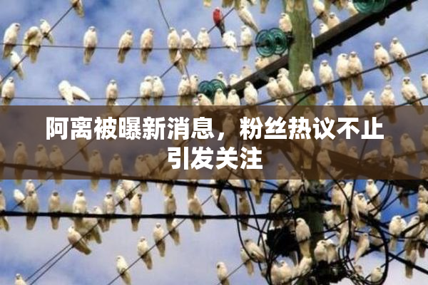 阿离被曝新消息，粉丝热议不止引发关注