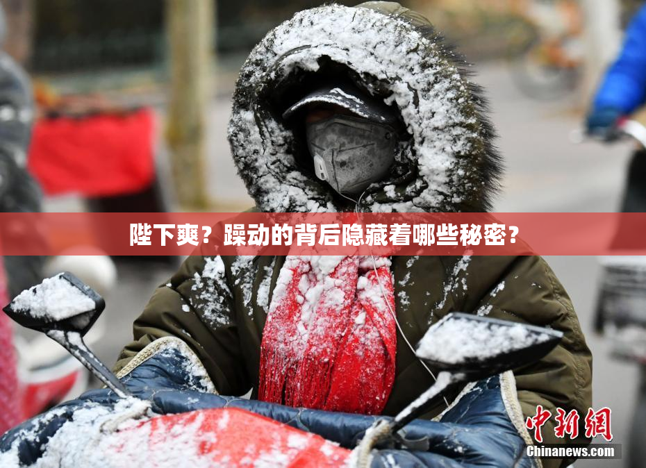陛下爽？躁动的背后隐藏着哪些秘密？