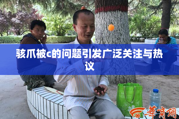骇爪被c的问题引发广泛关注与热议