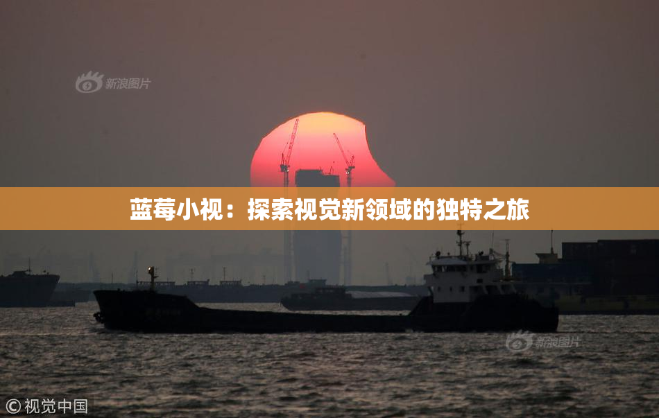 蓝莓小视：探索视觉新领域的独特之旅