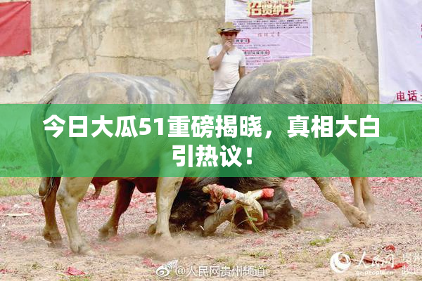 今日大瓜51重磅揭晓，真相大白引热议！