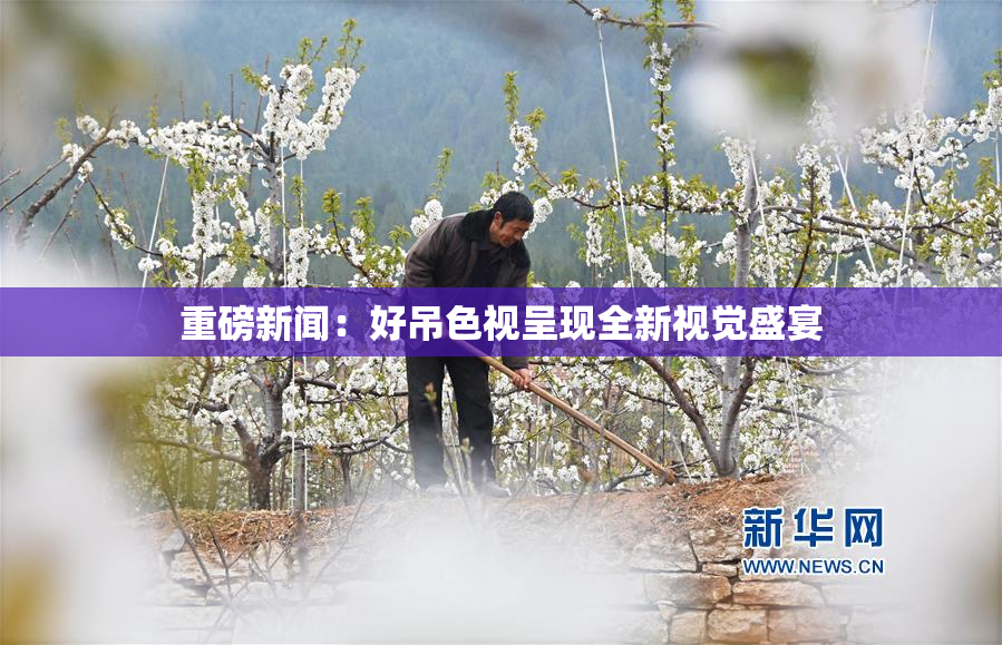 重磅新闻：好吊色视呈现全新视觉盛宴
