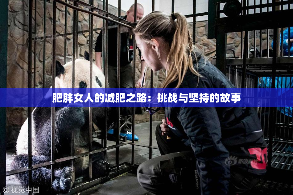 肥胖女人的减肥之路：挑战与坚持的故事