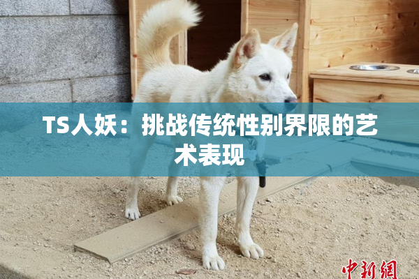 TS人妖：挑战传统性别界限的艺术表现
