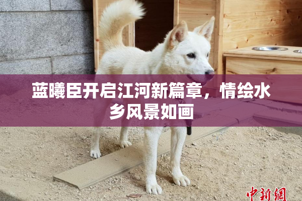 蓝曦臣开启江河新篇章，情绘水乡风景如画