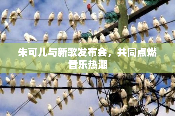 朱可儿与新歌发布会，共同点燃音乐热潮