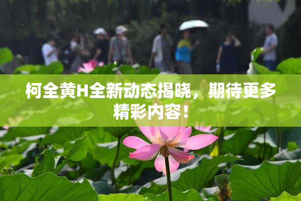 柯全黄H全新动态揭晓，期待更多精彩内容！