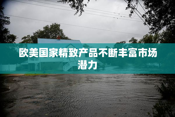 欧美国家精致产品不断丰富市场潜力