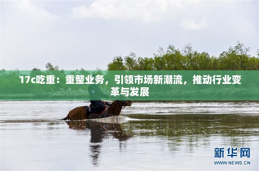 17c吃重：重整业务，引领市场新潮流，推动行业变革与发展