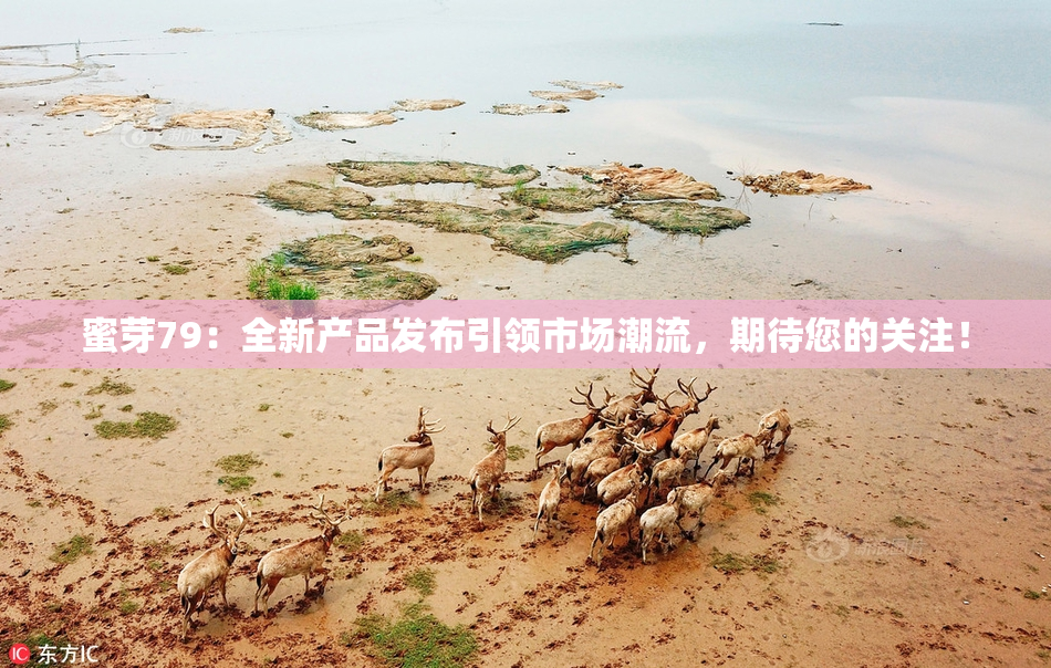 蜜芽79：全新产品发布引领市场潮流，期待您的关注！