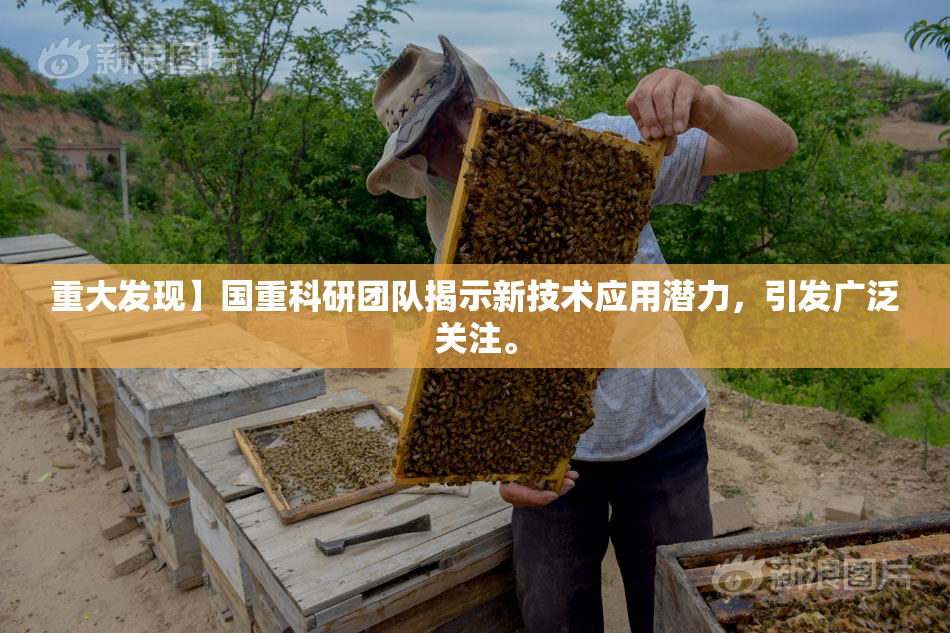 重大发现】国重科研团队揭示新技术应用潜力，引发广泛关注。
