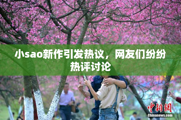 小sao新作引发热议，网友们纷纷热评讨论