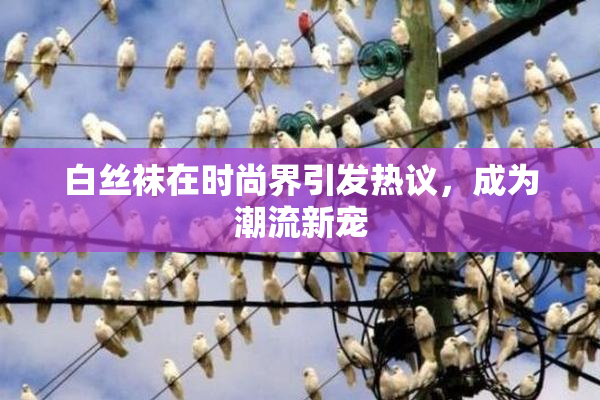 白丝袜在时尚界引发热议，成为潮流新宠