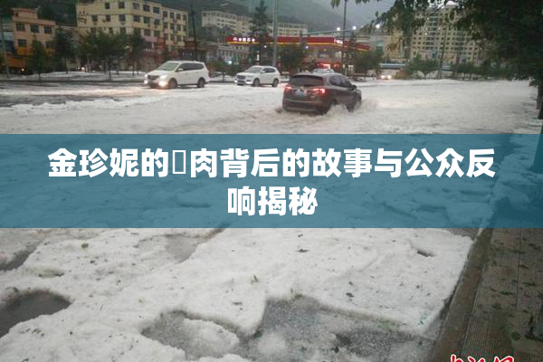 金珍妮的婬肉背后的故事与公众反响揭秘