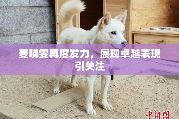 麦晓雯再度发力，展现卓越表现引关注