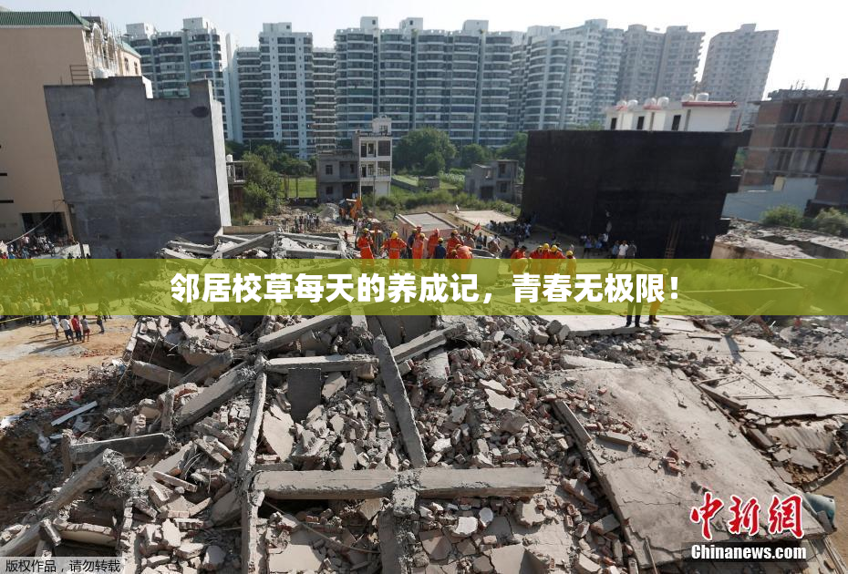 邻居校草每天的养成记，青春无极限！