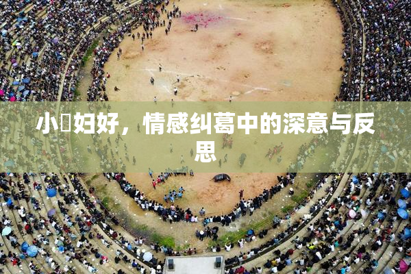 小婬妇好，情感纠葛中的深意与反思