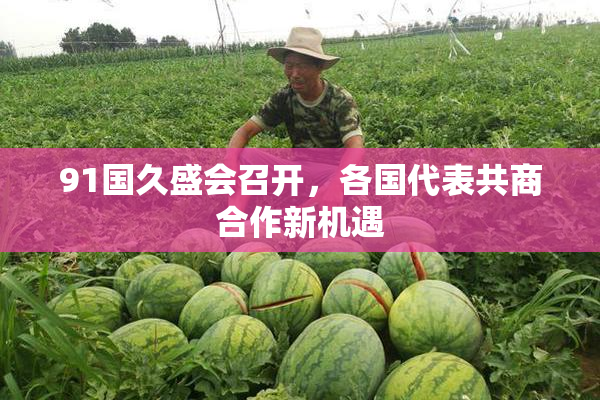91国久盛会召开，各国代表共商合作新机遇