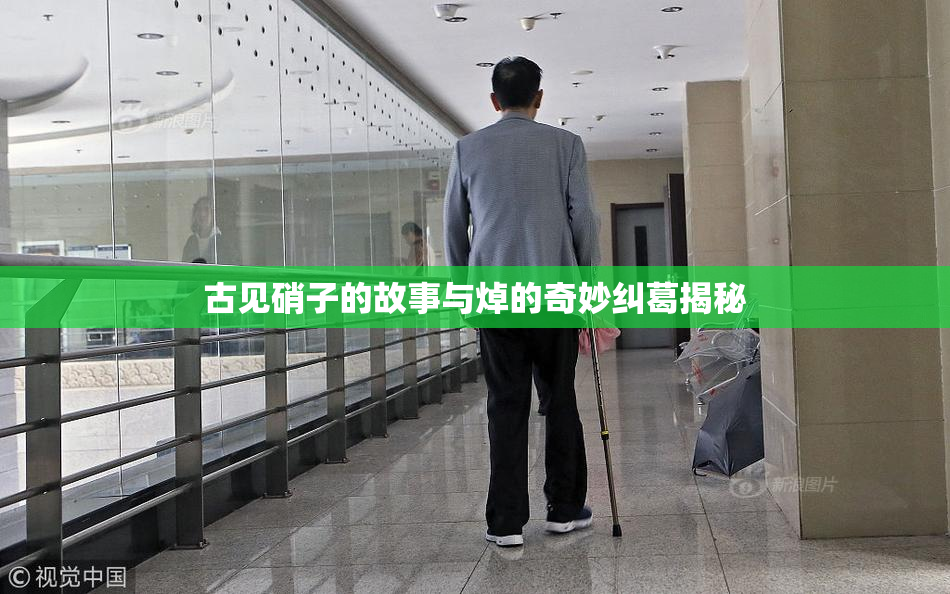 古见硝子的故事与焯的奇妙纠葛揭秘