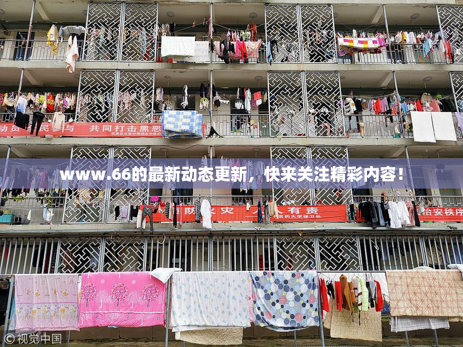 www.66的最新动态更新，快来关注精彩内容！
