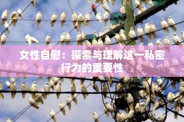 女性自慰：探索与理解这一私密行为的重要性