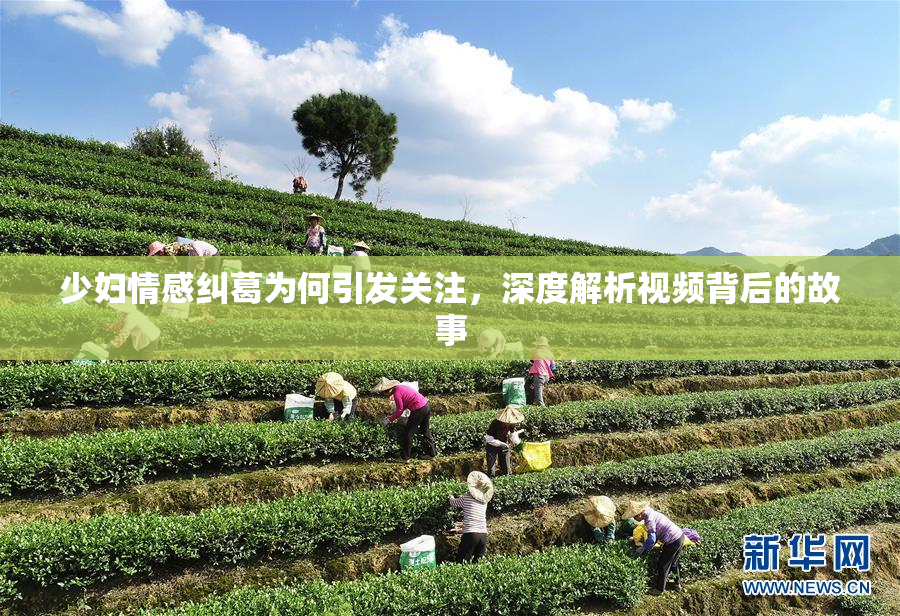 少妇情感纠葛为何引发关注，深度解析视频背后的故事