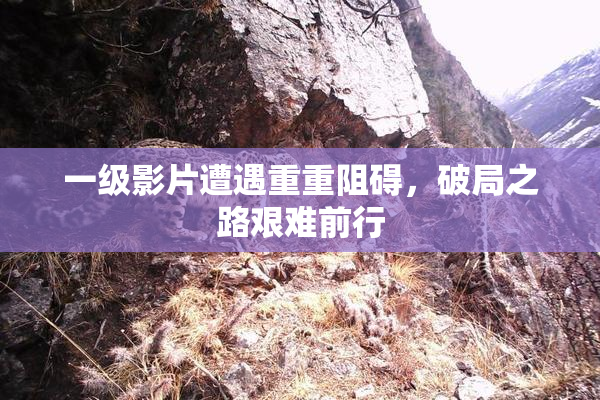 一级影片遭遇重重阻碍，破局之路艰难前行