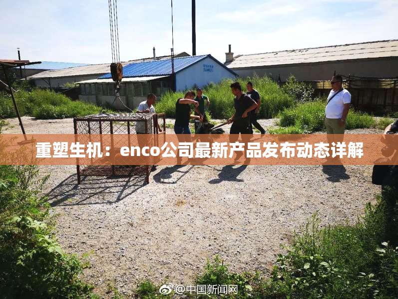 重塑生机：enco公司最新产品发布动态详解