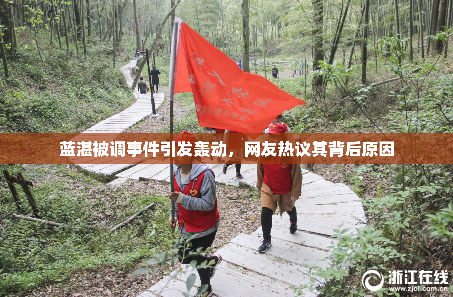 蓝湛被调事件引发轰动，网友热议其背后原因