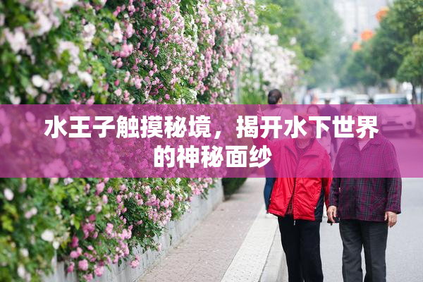 水王子触摸秘境，揭开水下世界的神秘面纱