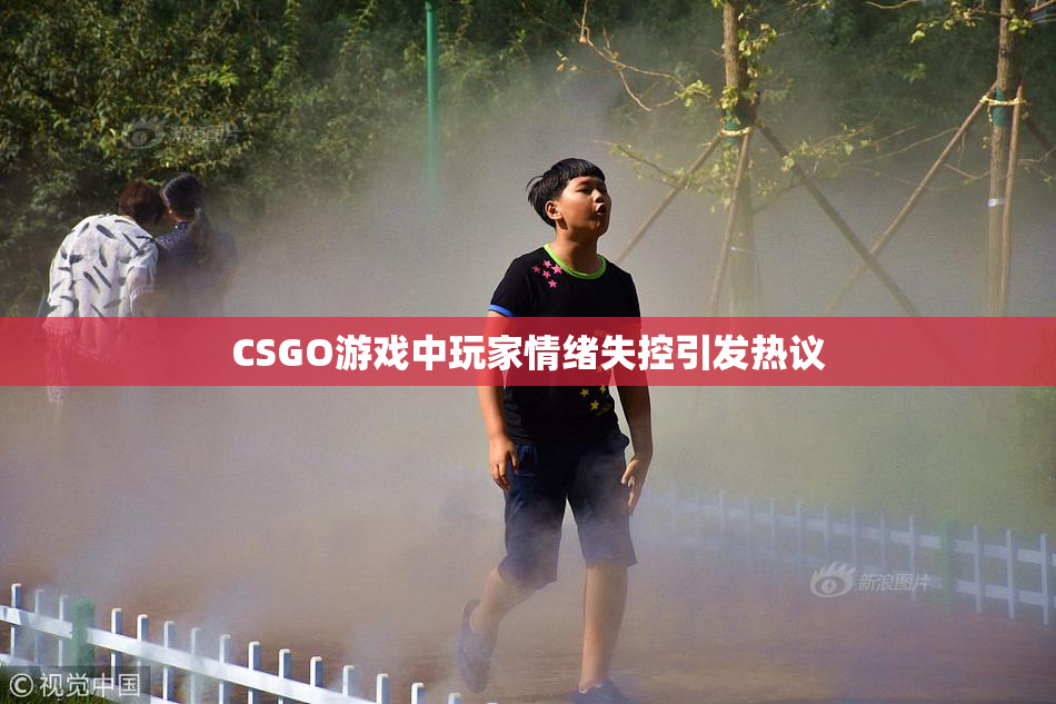 CSGO游戏中玩家情绪失控引发热议