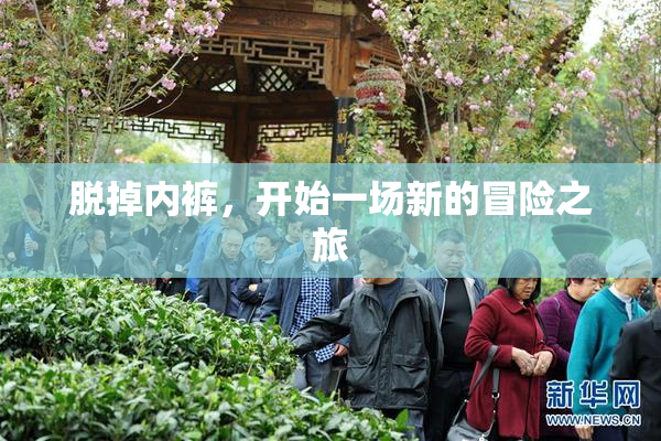 脱掉内裤，开始一场新的冒险之旅